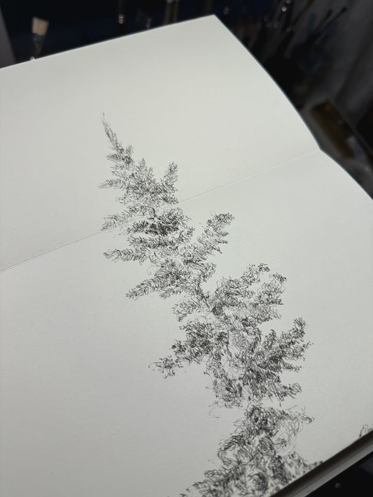 Tree Ink Drawing